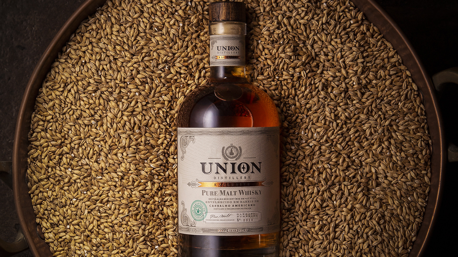 UNT Intelligence Design