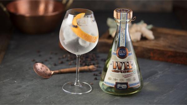 PROJETO GIN | WH 48 | Weber Haus