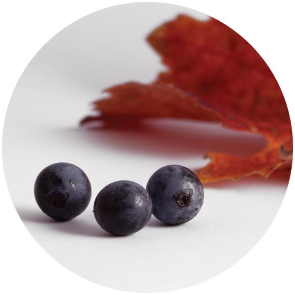 Tampas Vinhos e Espumantes