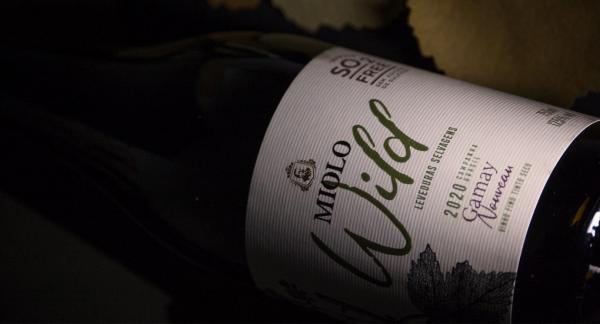 MIOLO WILD GAMAY | MIOLO WINE GROUP