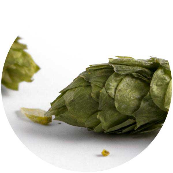 Tampas para Cervejas e Frisante